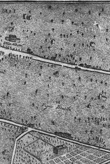 The Map - Villa Albani