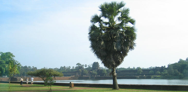 Towards Angkor Vat