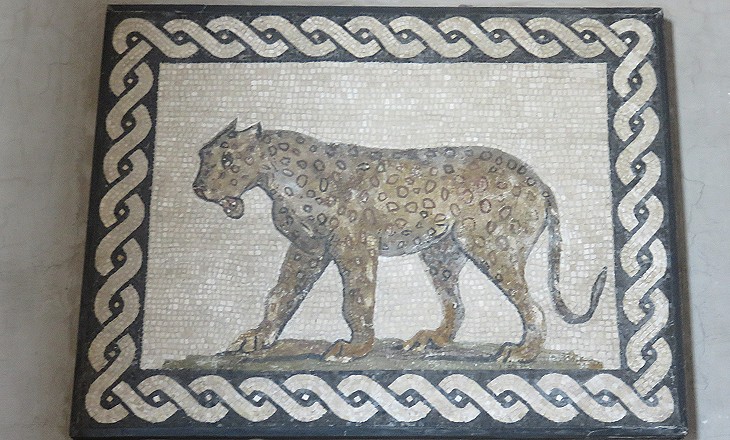 Roman mosaic found at Falerio Picenus