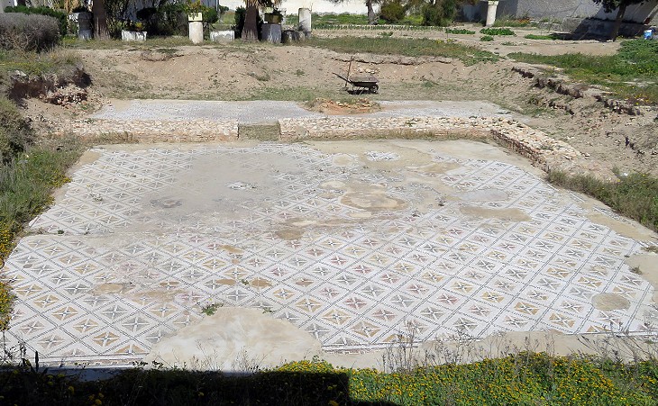 Floor mosaic inside the premises of the Museum