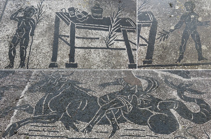 Maritime Baths: floor mosaics
