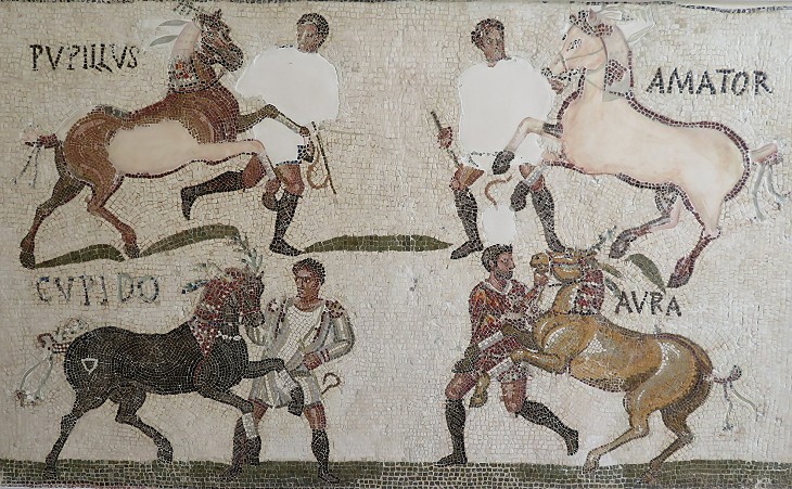 Winning horses