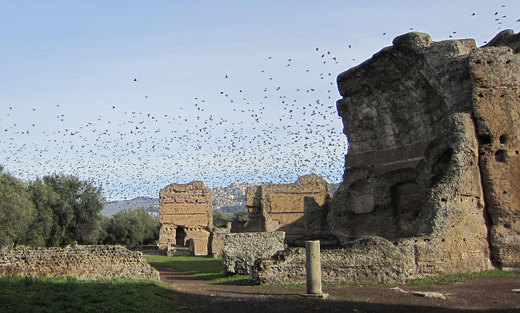 Imperial Palace and a murmuration of starlings