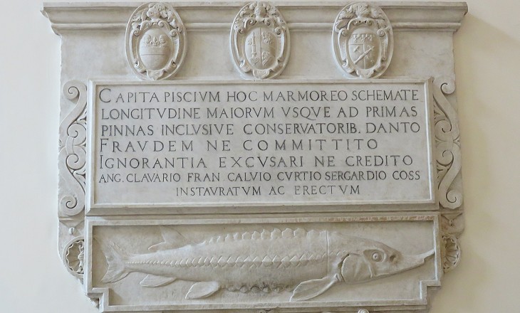 Inscription containing a 1581 decree